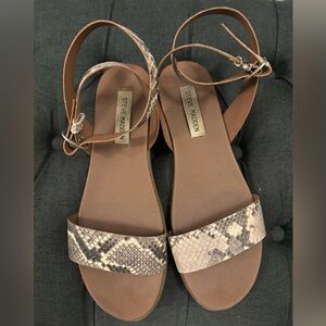 Snake skin Steve Madden sandals